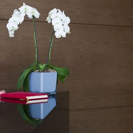 Oktober Downtown Boutique Отель